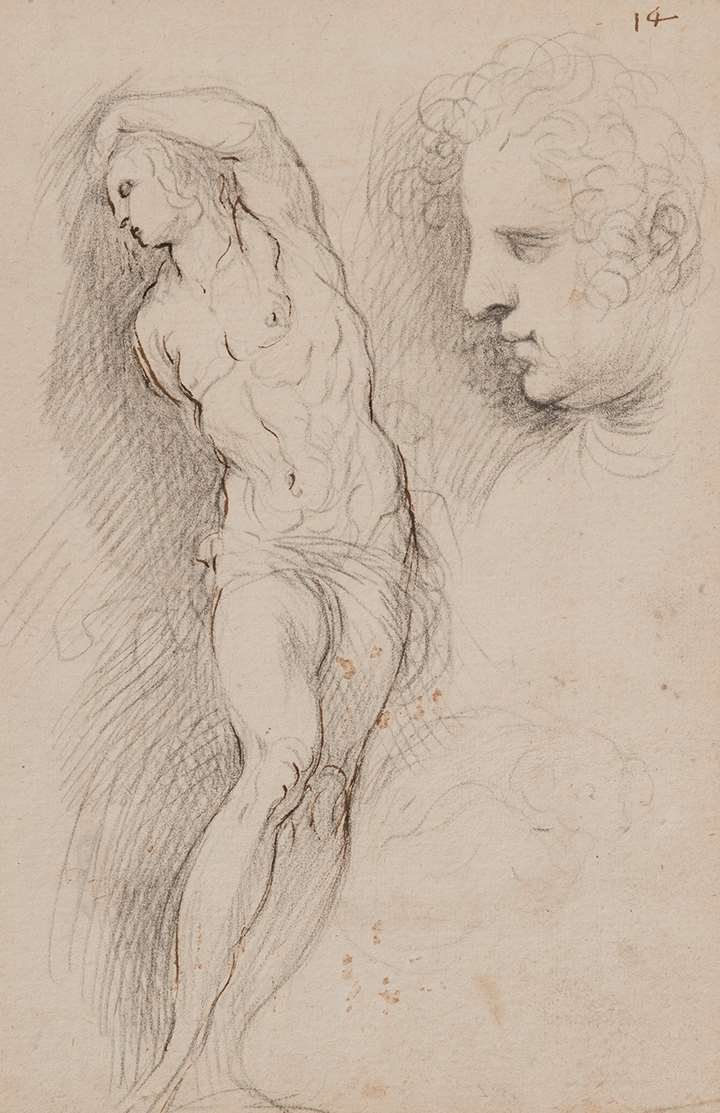 Portrait of the artist's wife Adriana, study for St. Sebastian, study of a sleeping dog